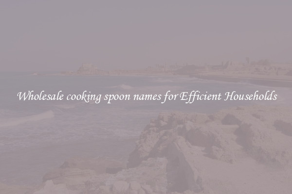 Wholesale cooking spoon names for Efficient Households