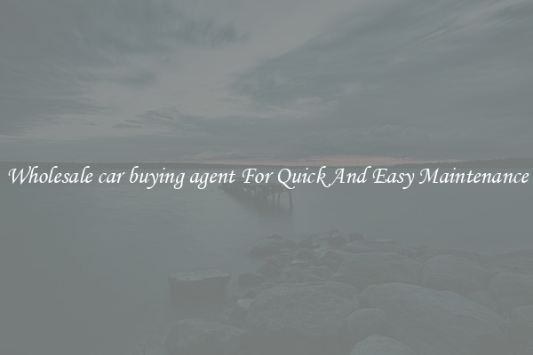Wholesale car buying agent For Quick And Easy Maintenance
