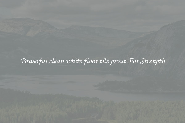 Powerful clean white floor tile grout For Strength