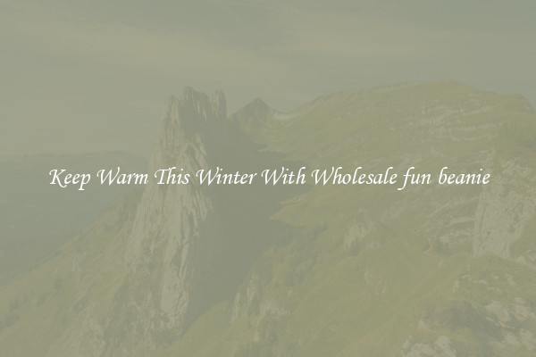 Keep Warm This Winter With Wholesale fun beanie