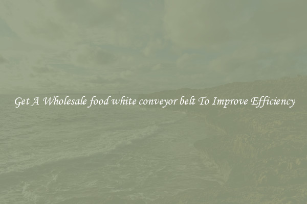 Get A Wholesale food white conveyor belt To Improve Efficiency