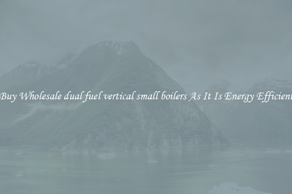 Buy Wholesale dual fuel vertical small boilers As It Is Energy Efficient