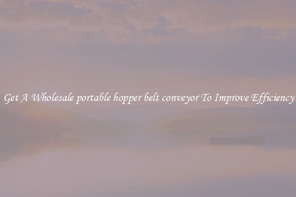 Get A Wholesale portable hopper belt conveyor To Improve Efficiency