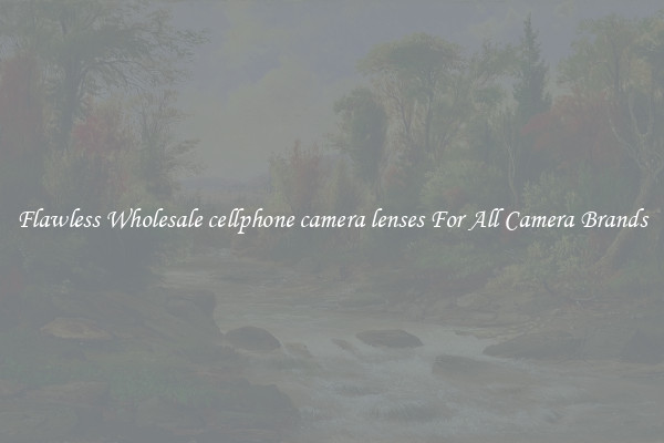 Flawless Wholesale cellphone camera lenses For All Camera Brands