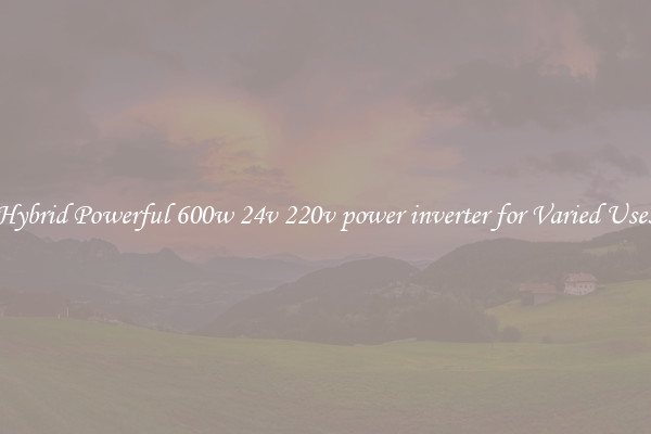 Hybrid Powerful 600w 24v 220v power inverter for Varied Uses