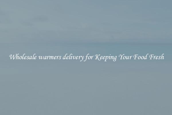 Wholesale warmers delivery for Keeping Your Food Fresh