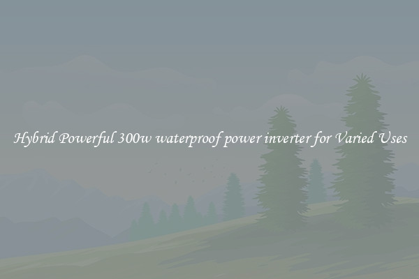 Hybrid Powerful 300w waterproof power inverter for Varied Uses