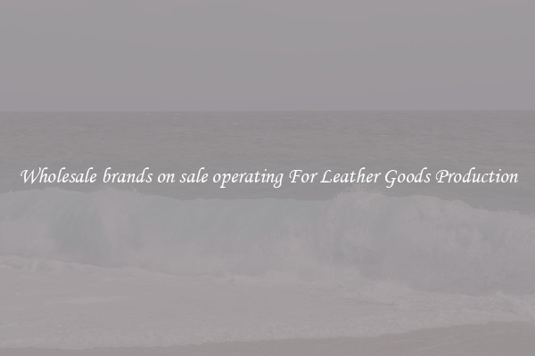 Wholesale brands on sale operating For Leather Goods Production