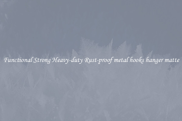 Functional Strong Heavy-duty Rust-proof metal hooks hanger matte