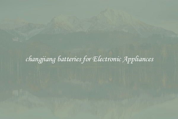 changjiang batteries for Electronic Appliances