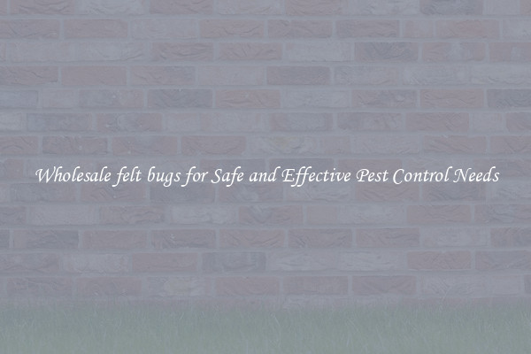 Wholesale felt bugs for Safe and Effective Pest Control Needs