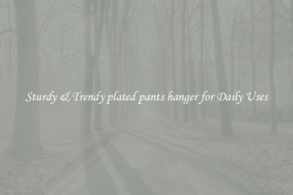 Sturdy & Trendy plated pants hanger for Daily Uses