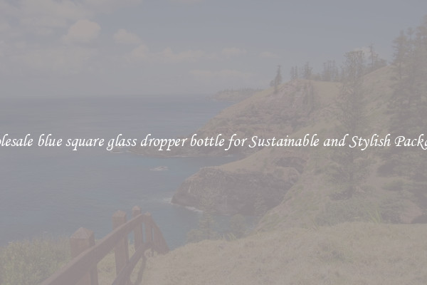 Wholesale blue square glass dropper bottle for Sustainable and Stylish Packaging