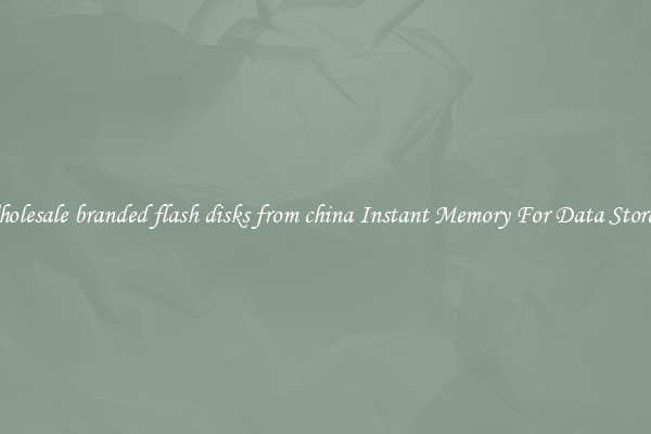 Wholesale branded flash disks from china Instant Memory For Data Storage