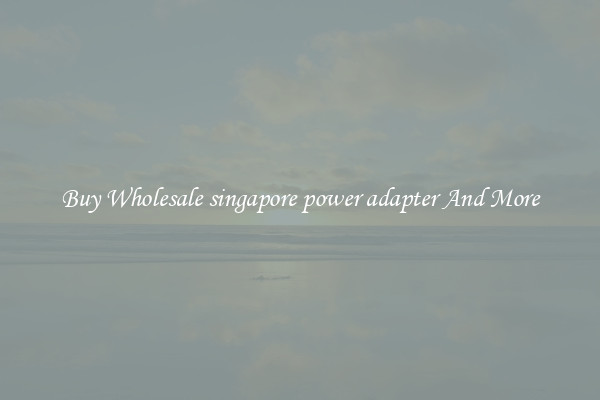 Buy Wholesale singapore power adapter And More