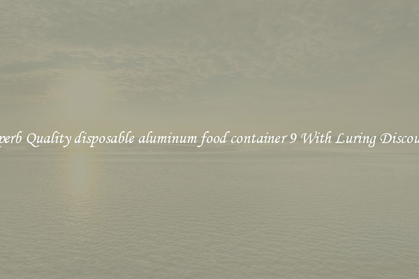 Superb Quality disposable aluminum food container 9 With Luring Discounts