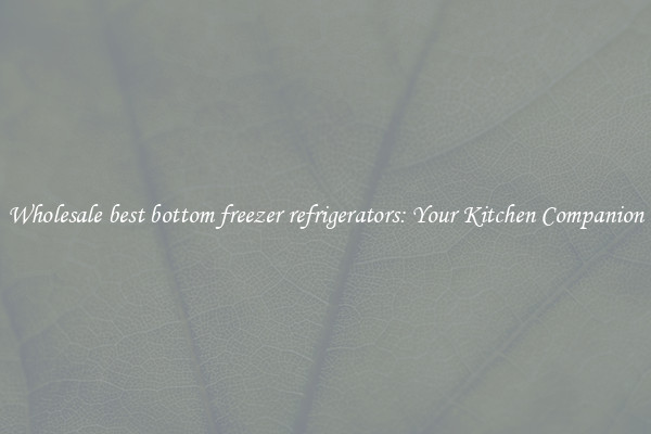 Wholesale best bottom freezer refrigerators: Your Kitchen Companion