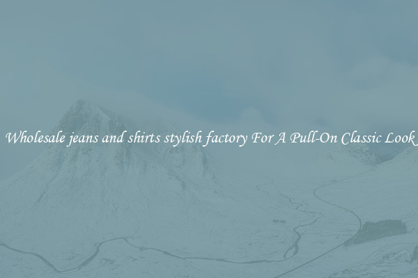 Wholesale jeans and shirts stylish factory For A Pull-On Classic Look