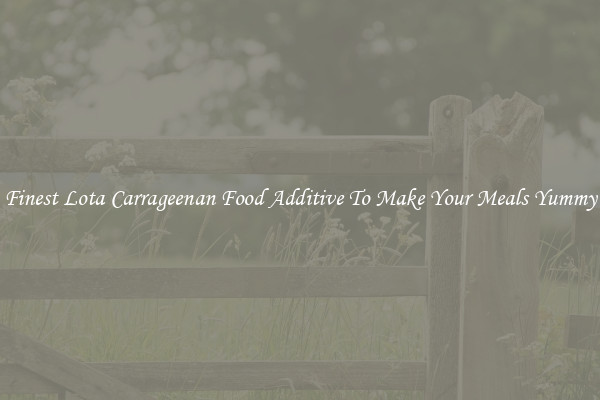Finest Lota Carrageenan Food Additive To Make Your Meals Yummy