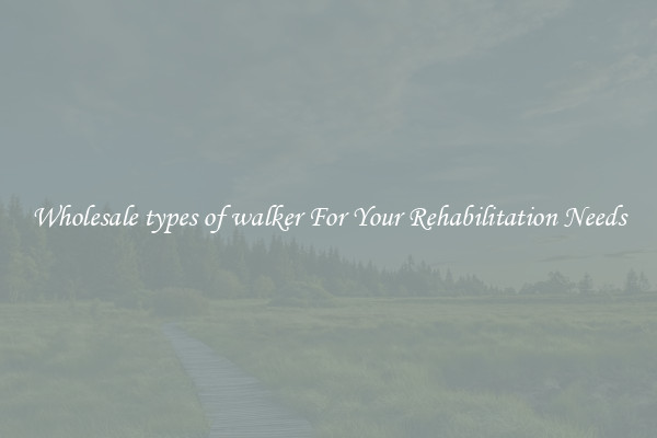 Wholesale types of walker For Your Rehabilitation Needs